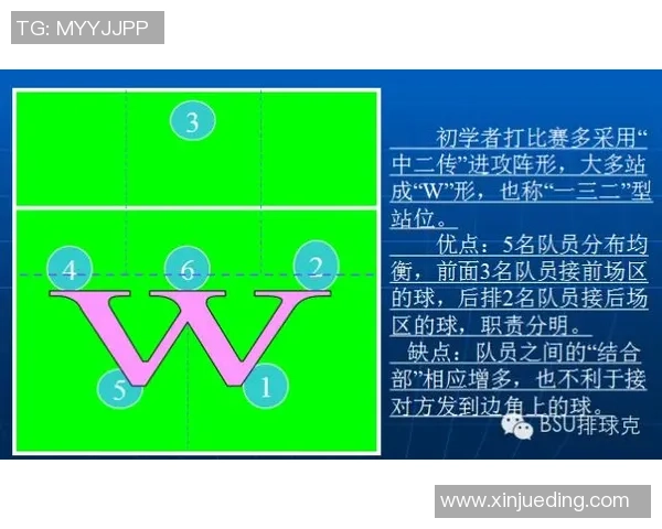 武汉排球队的战术控制分析与未来发展展望
