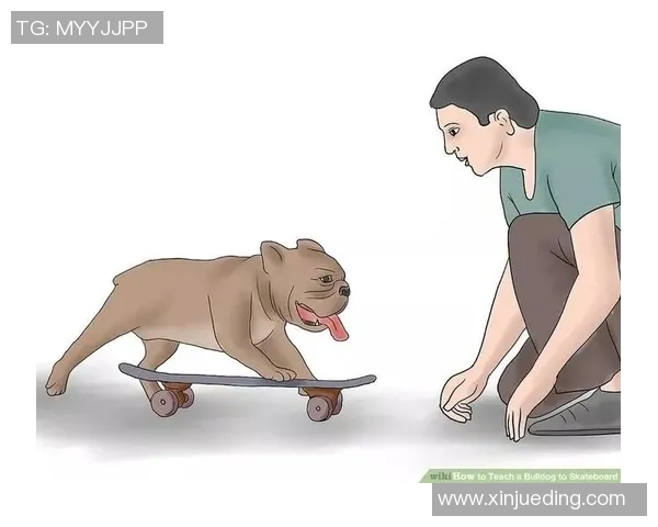 深圳滑板队力量表现数据分析揭示运动员潜力与训练效果的深度关系