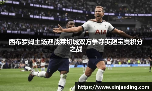 西布罗姆主场迎战莱切城双方争夺英超宝贵积分之战